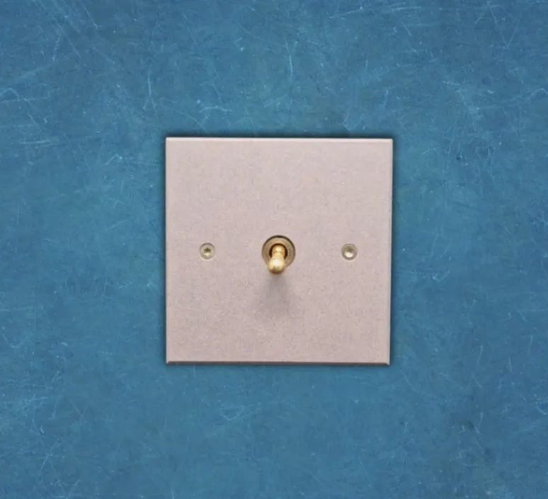 Interrupteur*6ixtes Interrupteur, Vertbois, Prêt à peindre, Simple, Gris clair, Simple allumage x1, Laiton, L8cm, H8cm - Nedgis