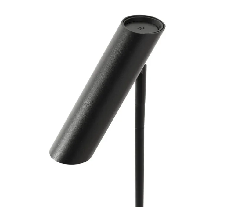 Lampadaire, Leo, noir, LED, 2700K, 299 lm, Ø20cm, H115,5cm - Faro