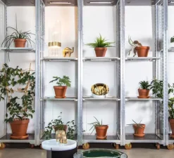 Lampe à poser, Cactus Small, transparent, laiton poli, LED, 2700K, 1600 lm, Ø20cm, H63cm - Pulpo