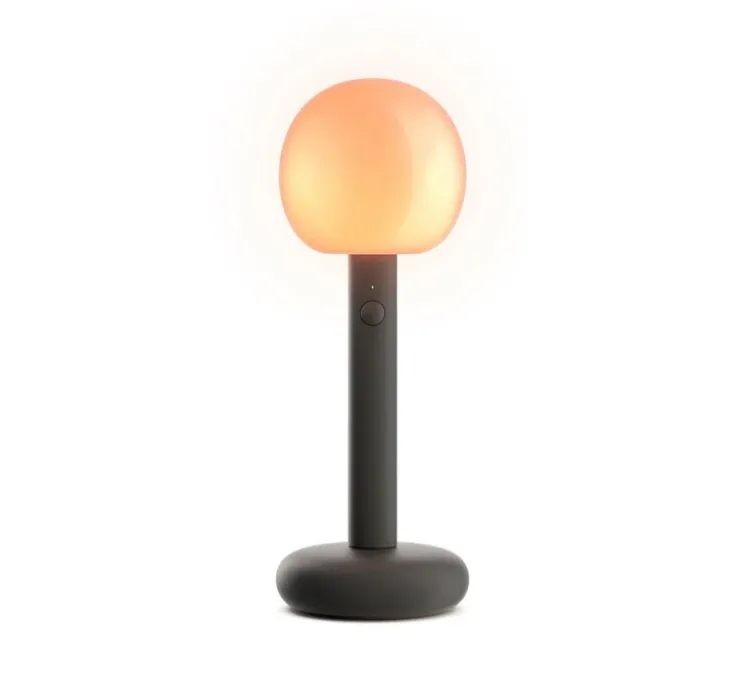 Lampe, Baladeuse, Fire, noir, IP21, LED, dim, 1300K à 2700K, 240 lm, Ø11,8cm, H32,5cm - GRAU