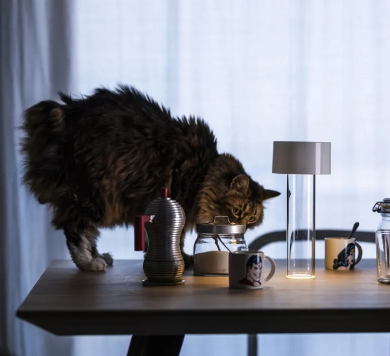 Lampe*Foscarini Lampe, Baladeuse, Fleur, , LED, dim, 3000K, 188 lm, Ø11cm, H24cm - blanc