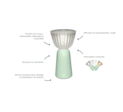 Lampe, Baladeuse, Swiing, carbone, IP54, LED, dim, 2700K, 35 lm, Ø10cm, H20cm - Fermob