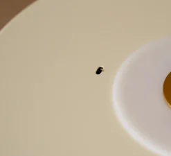 Plafonnier, Asteria UP PLUS, large, blanc perle, LED, dim, 2400-3000K, 2200 lm, Ø60cm, H21cm - Umage