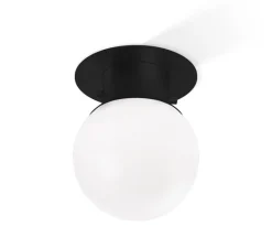 Plafonnier & Spot*Decor Walther Plafonnier de salle de bain, Globe 20, , Ø19cm, H25cm, IP44 - noir mat