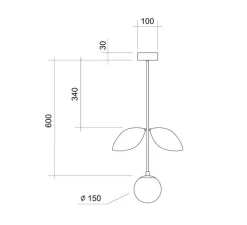 Plafonnier & Spot|Suspension*Atelier Areti Plafonnier, Plant, , Ø15cm, H78cm - laiton