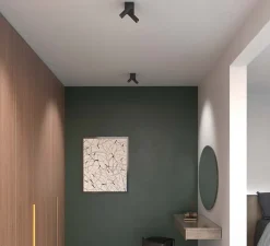 Plafonnier & Spot*LEDS C4 Plafonnier, Prolix double, , LED, dim, 2700k, 434 lm, L21cm, H17,2cm - noir