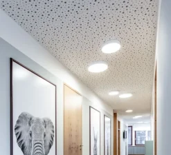 Plafonnier & Spot*Wever&Ducré Plafonnier, Roby IP44, , IP44, LED, 3000k, 1890 lm, Ø35,5cm, H6cm - noir et blanc
