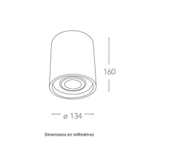 Plafonnier, Vertbois, plâtre, prêt à peindre, Zoé, Tube, Orientable, blanc, Ø13,4cm, H16cm - Nedgis