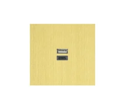 Prise*6ixtes Prise, Allure, Simple, Or claire, Prise-USB A/C x1, L8cm, H8cm -