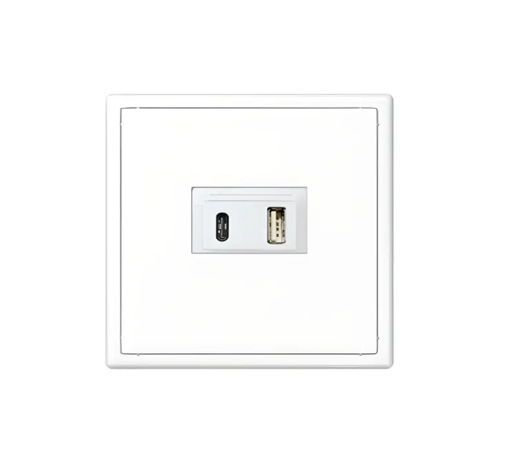 Prise, LS 990, Simple, Blanc mat, Prise-USB A/C x1, L8,1cm, H8,1cm - Jung