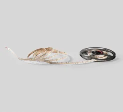 Ampoule*Nedgis Ruban LED, Strip 24V-2835 240M 3000K, 7710lm, L500cm, H0,6cm - transparent