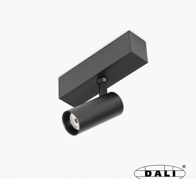 Spot encastrable, Neso Hole, noir mat, LED, 40°, dim, DALI, 3000K, 444 lm, ⌀3,5cm, H10cm - Faro