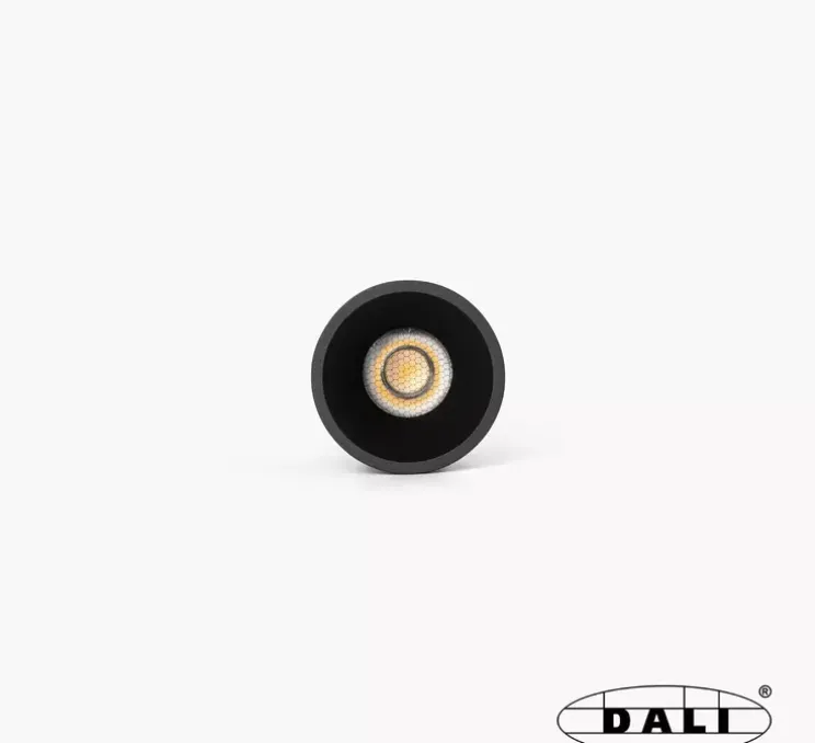 Spot encastrable, Tulipa, 55°, noir, IP44, LED, dim, DALI, 2700K, 313 lm, Ø8,2cm, H10,6cm - Faro