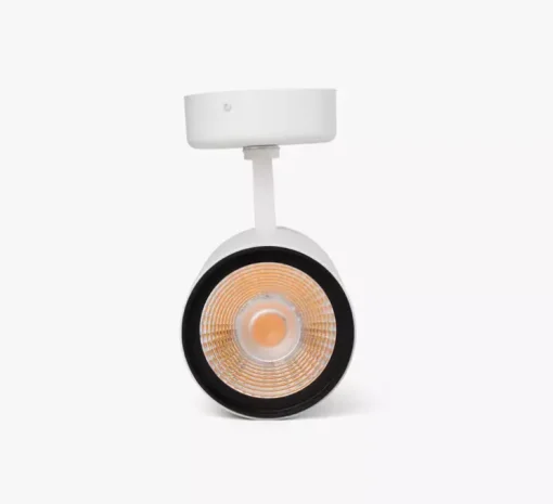 Spot, Fost Surface, blanc, LED, dim, DALI, 42W, 38°, 2700K, 3469 lm, Ø9cm, H18cm - Faro