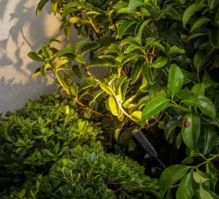 Plafonnier & Spot*Faro Spot, Projecteur avec piquet Balder, , IP67, LED, 3000K, 212 lm, L4cm, H28cm - noir