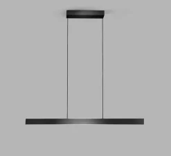 Suspension*Light Point Suspension, Edge Linear 1000, carbone, LED, 2700-5000K, 1800 lm, L101,6cm, H5cm - noir