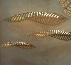 Suspension, Navicula Medium, naturel, LED, dim, 2700K, L195cm, H38cm - David Trubridge