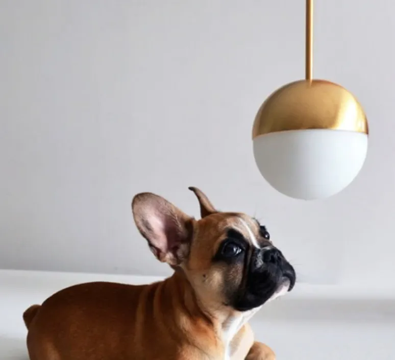 Suspension*Fontana Arte Suspension, Pallina, , Ø12cm, H36cm, LED, 2700K, 470lm - laiton