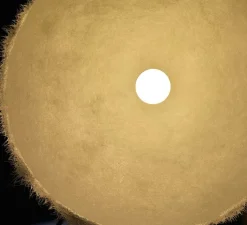 Suspension*Karman Suspension, Plancton, , IP44,Ø75cm, H40cm - blanc