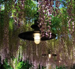 Suspension*Martinelli Luce Suspension, Polo, , LED, Ø48cm, H40cm - anthracite