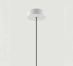 Suspension, Spider avec rosace, champagne mat, LED, 2700K, 1280 lm, Ø12cm, H13cm - Lodes