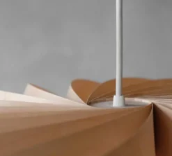 Suspension, TR5, bouleau, Ø60cm, H20cm - Tom Rossau