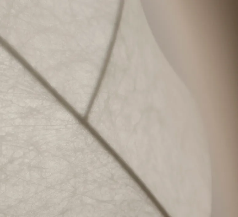 Suspension*Pholc Suspension, TURNER 50, , Ø50cm, H50cm - blanc